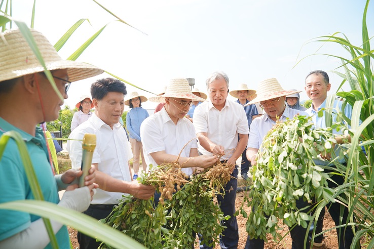 唐榮華（前左四）為院士專家團隊介紹基地花生種植情況.png